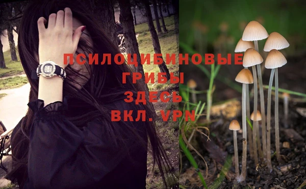 ALPHA-PVP Алзамай